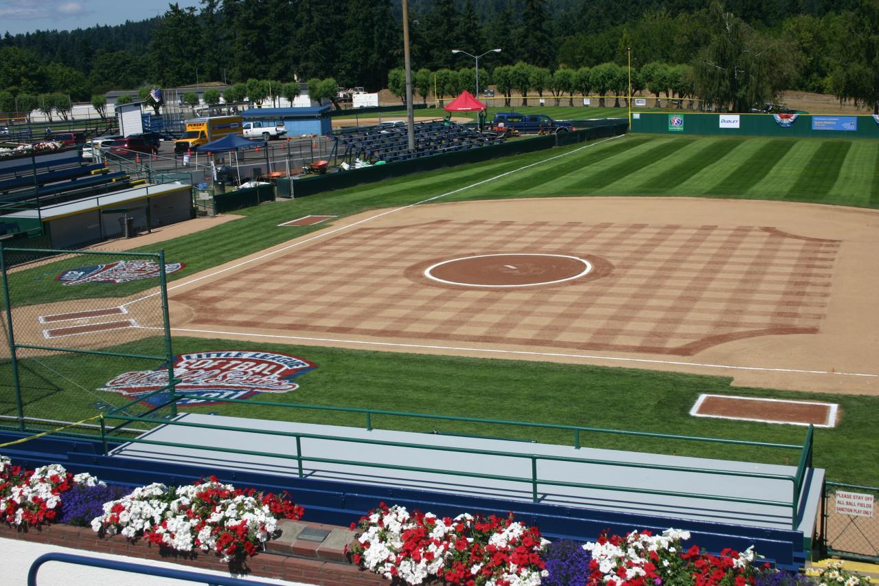 A unique checkerboard pattern was featured at the Little League Softball World Series at Alpenrose Field in Portland, Oregon.