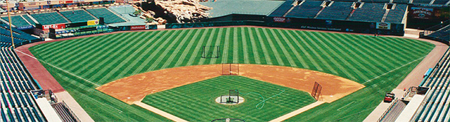 Baseball diamond.